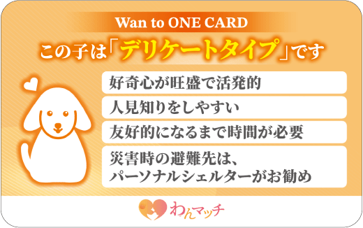 Wan to ONE CARD