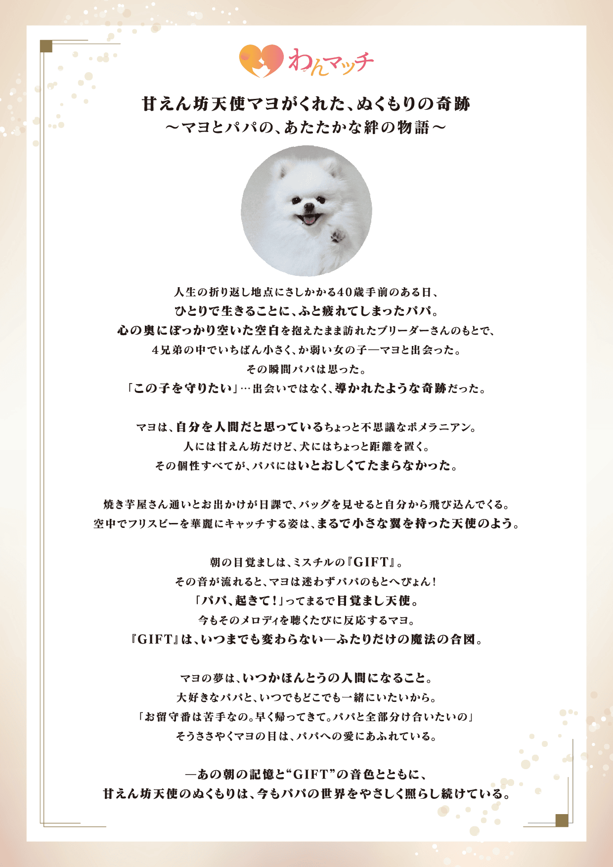 ストーリーレポート