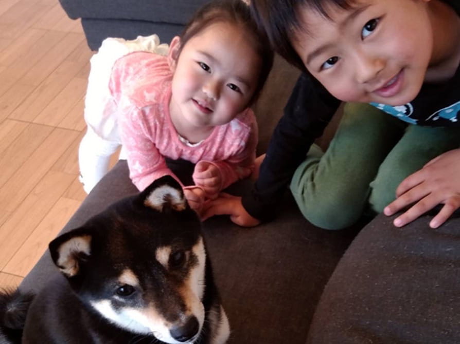 お兄ちゃん 7才・妹さん 5才 ／ 柴犬 ♀（キョロちゃん）